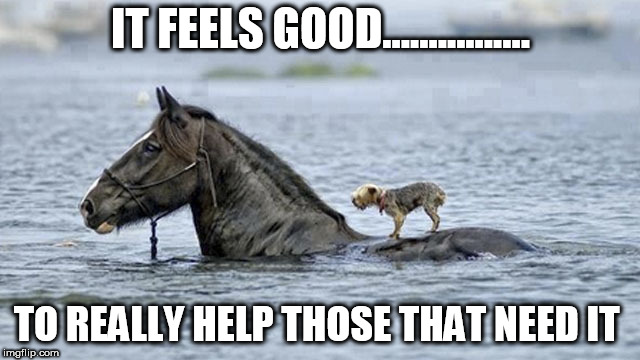 helping | IT FEELS GOOD................ TO REALLY HELP THOSE THAT NEED IT | image tagged in helping | made w/ Imgflip meme maker