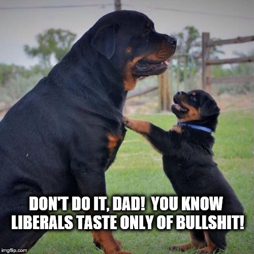DON'T DO IT, DAD!  YOU KNOW LIBERALS TASTE ONLY OF BULLSHIT! | made w/ Imgflip meme maker