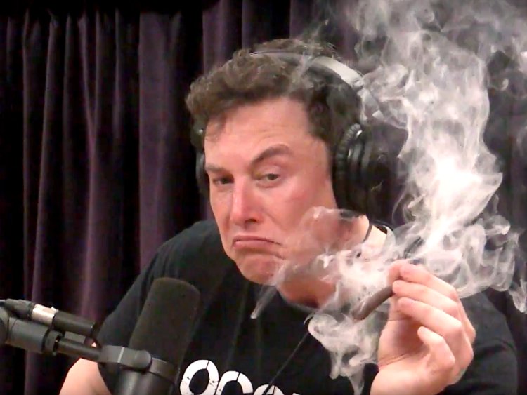 High Quality Elon Musk Weed Blank Meme Template