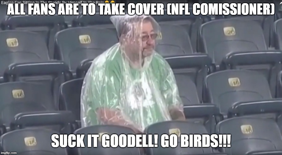 ALL FANS ARE TO TAKE COVER (NFL COMISSIONER); SUCK IT GOODELL! GO BIRDS!!! | image tagged in philadelphia eagles,eagles,fan | made w/ Imgflip meme maker