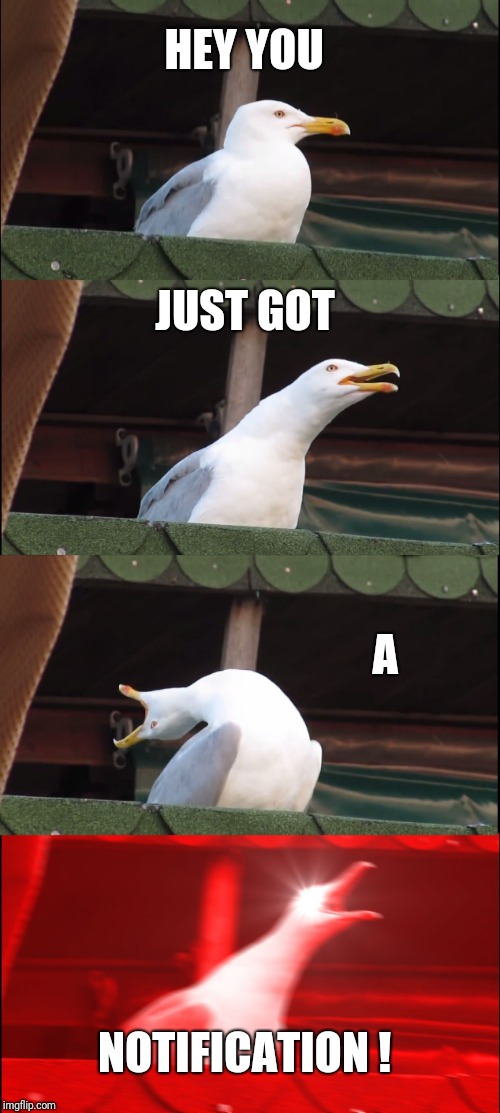 Inhaling Seagull Meme | HEY YOU JUST GOT A NOTIFICATION ! | image tagged in memes,inhaling seagull | made w/ Imgflip meme maker