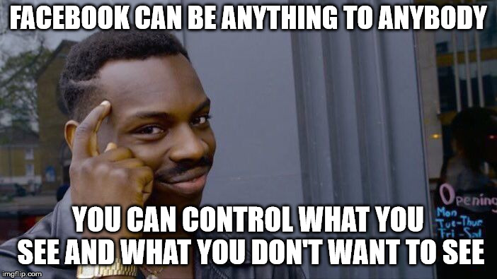 Roll Safe Think About It Meme | FACEBOOK CAN BE ANYTHING TO ANYBODY YOU CAN CONTROL WHAT YOU SEE AND WHAT YOU DON'T WANT TO SEE | image tagged in memes,roll safe think about it | made w/ Imgflip meme maker