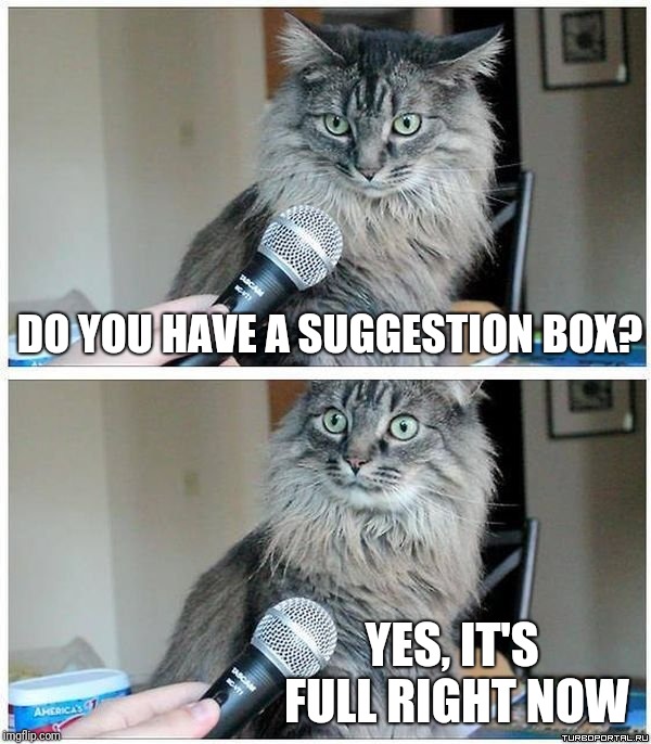 Cat interview high res | DO YOU HAVE A SUGGESTION BOX? YES, IT'S FULL RIGHT NOW | image tagged in cat interview high res | made w/ Imgflip meme maker