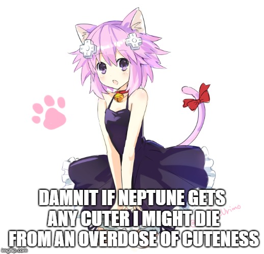 I Love Cute Thing Way Too Much | DAMNIT IF NEPTUNE GETS ANY CUTER I MIGHT DIE FROM AN OVERDOSE OF CUTENESS | image tagged in hyperdimension neptunia | made w/ Imgflip meme maker