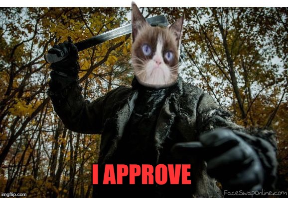 grumpy cat jason | I APPROVE | image tagged in grumpy cat jason | made w/ Imgflip meme maker