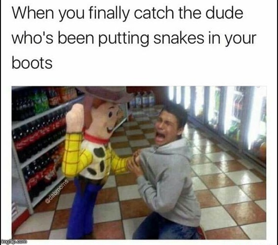 THERE'S A SNAKE IN MA BOOT | image tagged in woody | made w/ Imgflip meme maker