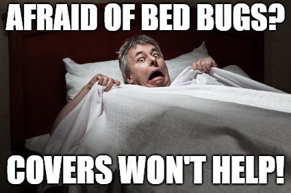 Under Cover Bed Bugs | AFRAID OF BED BUGS? COVERS WON'T HELP! | image tagged in bed bugs,under cover,sleep,scared,in bed | made w/ Imgflip meme maker
