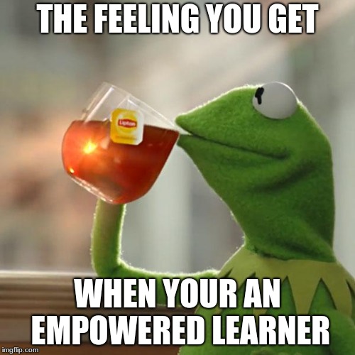 But That's None Of My Business | THE FEELING YOU GET; WHEN YOUR AN EMPOWERED LEARNER | image tagged in memes,but thats none of my business,kermit the frog | made w/ Imgflip meme maker