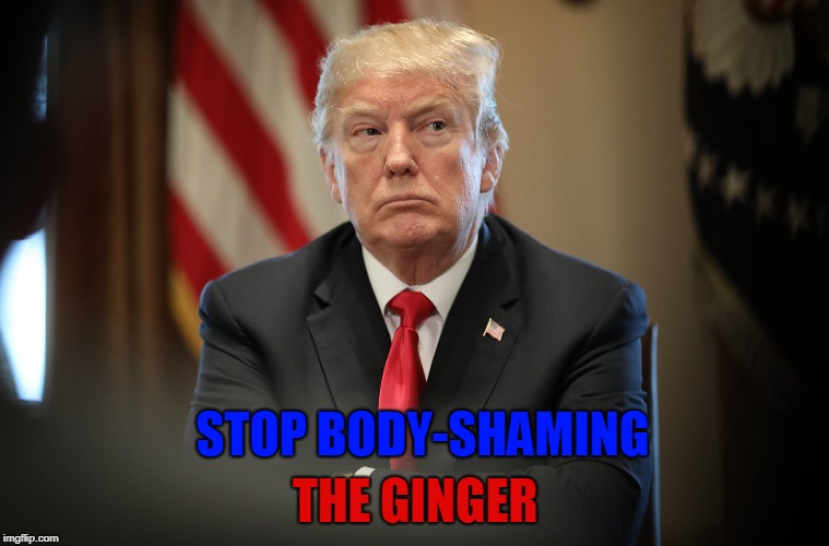 Ginger Body Shame | THE GINGER; STOP BODY-SHAMING | image tagged in maga,bodyshame,orangedictator,ginger | made w/ Imgflip meme maker