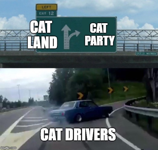 Left Exit 12 Off Ramp Meme | CAT LAND; CAT PARTY; CAT DRIVERS | image tagged in memes,left exit 12 off ramp | made w/ Imgflip meme maker