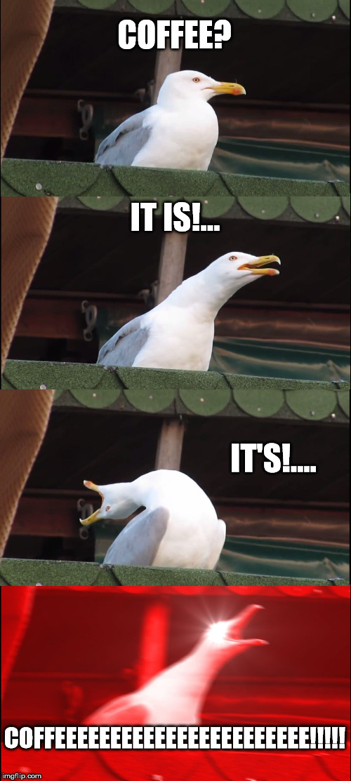Inhaling Seagull | COFFEE? IT IS!... IT'S!.... COFFEEEEEEEEEEEEEEEEEEEEEEE!!!!! | image tagged in memes,inhaling seagull | made w/ Imgflip meme maker
