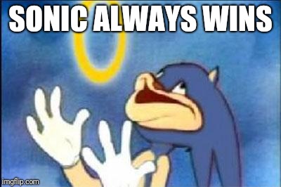 Sonic derp | SONIC ALWAYS WINS | image tagged in sonic derp | made w/ Imgflip meme maker
