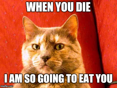 Suspicious Cat |  WHEN YOU DIE; I AM SO GOING TO EAT YOU | image tagged in memes,suspicious cat | made w/ Imgflip meme maker