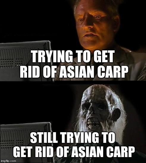 I'll Just Wait Here Meme | TRYING TO GET RID OF ASIAN CARP; STILL TRYING TO GET RID OF ASIAN CARP | image tagged in memes,ill just wait here | made w/ Imgflip meme maker
