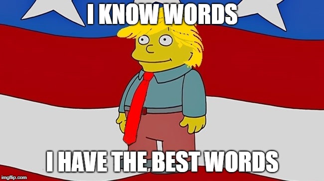 Ralph Wiggum Trump Quote | I KNOW WORDS; I HAVE THE BEST WORDS | image tagged in ralph wiggum trump quote | made w/ Imgflip meme maker
