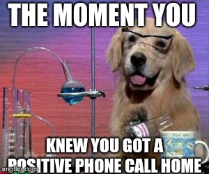 Science Dog | THE MOMENT YOU; KNEW YOU GOT A POSITIVE PHONE CALL HOME | image tagged in science dog | made w/ Imgflip meme maker