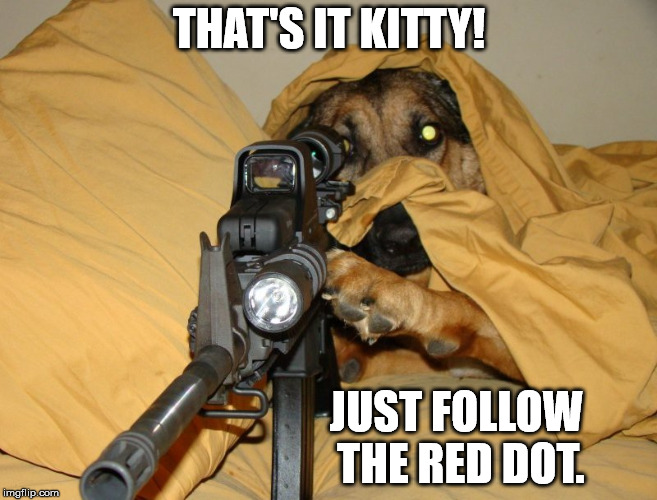 When you get tired of the cat taking over the place. | THAT'S IT KITTY! JUST FOLLOW THE RED DOT. | image tagged in memes,dog with rifle | made w/ Imgflip meme maker