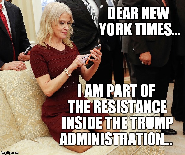 New York Times Op-Ed essay | DEAR NEW YORK TIMES... I AM PART OF THE RESISTANCE INSIDE THE TRUMP ADMINISTRATION... | image tagged in kellyanne conway,new york times | made w/ Imgflip meme maker