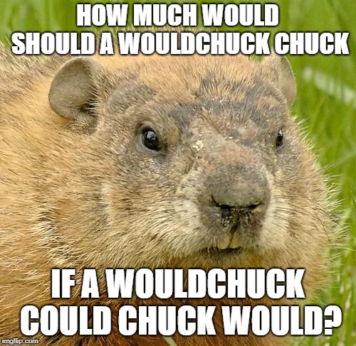 woodchuckpun | HOW MUCH WOULD SHOULD A WOULDCHUCK CHUCK IF A WOULDCHUCK COULD CHUCK WOULD? | image tagged in woodchuckpun | made w/ Imgflip meme maker