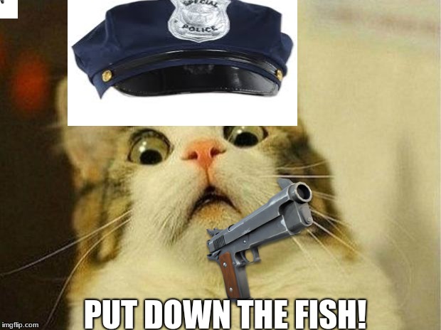 Scared Cat | PUT DOWN THE FISH! | image tagged in memes,scared cat | made w/ Imgflip meme maker