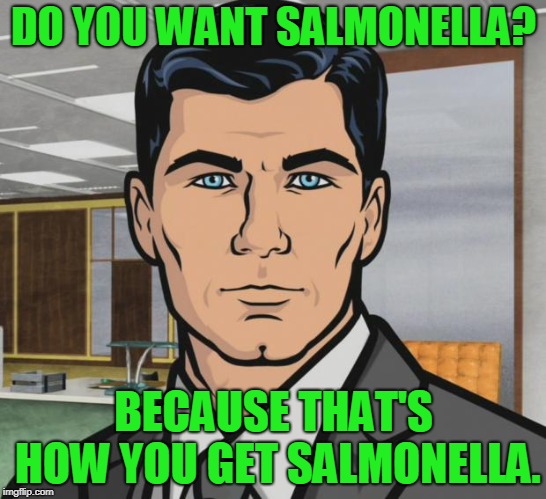 Archer Meme | DO YOU WANT SALMONELLA? BECAUSE THAT'S HOW YOU GET SALMONELLA. | image tagged in memes,archer | made w/ Imgflip meme maker