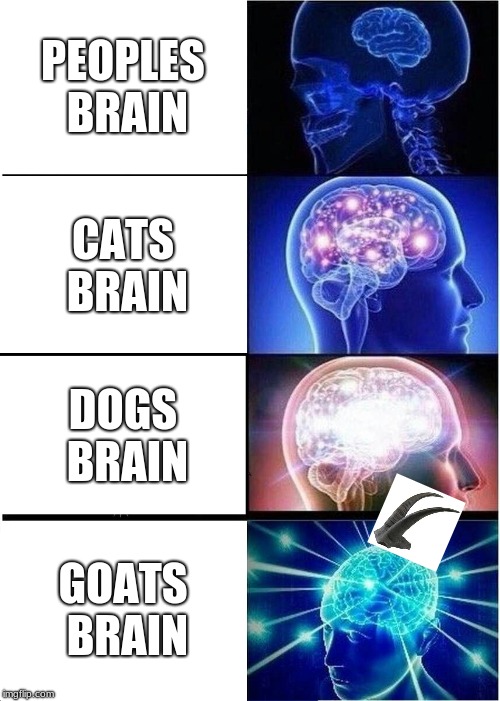 Expanding Brain | PEOPLES BRAIN; CATS BRAIN; DOGS BRAIN; GOATS BRAIN | image tagged in memes,expanding brain | made w/ Imgflip meme maker