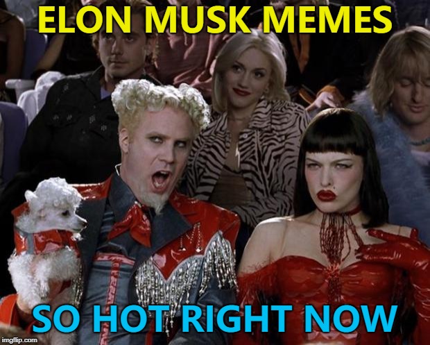 That photo will be around for a long time... :) | ELON MUSK MEMES; SO HOT RIGHT NOW | image tagged in memes,mugatu so hot right now,elon musk | made w/ Imgflip meme maker