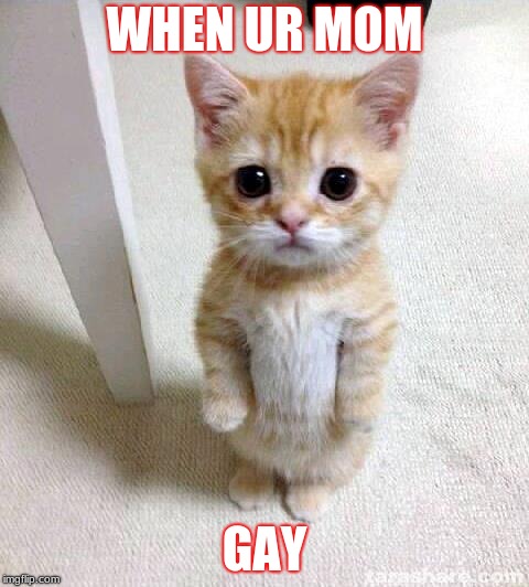 Cute Cat Meme | WHEN UR MOM; GAY | image tagged in memes,cute cat | made w/ Imgflip meme maker