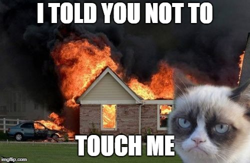 Burn Kitty | I TOLD YOU NOT TO; TOUCH ME | image tagged in memes,burn kitty,grumpy cat | made w/ Imgflip meme maker