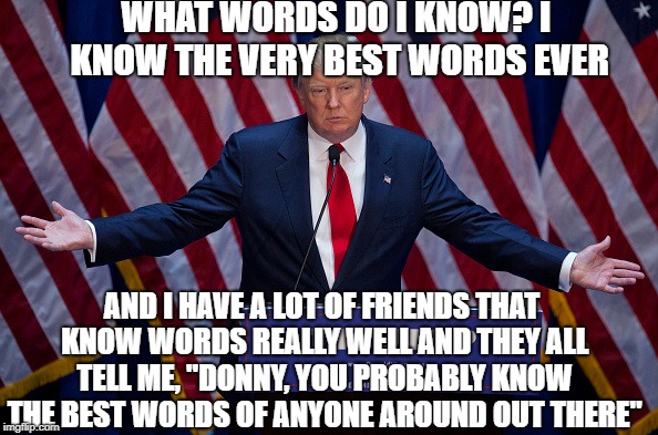 Donald Trump | WHAT WORDS DO I KNOW? I KNOW THE VERY BEST WORDS EVER AND I HAVE A LOT OF FRIENDS THAT KNOW WORDS REALLY WELL AND THEY ALL TELL ME, "DONNY,  | image tagged in donald trump | made w/ Imgflip meme maker