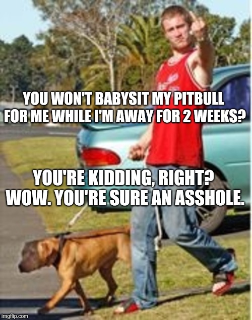 YOU WON'T BABYSIT MY PITBULL FOR ME WHILE I'M AWAY FOR 2 WEEKS? YOU'RE KIDDING, RIGHT? WOW. YOU'RE SURE AN ASSHOLE. | image tagged in dog owner douchebag | made w/ Imgflip meme maker