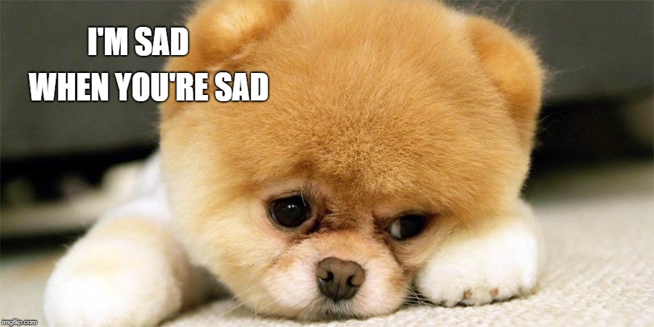 Sad dog is sad cause you're sad | WHEN YOU'RE SAD; I'M SAD | image tagged in sad dog | made w/ Imgflip meme maker