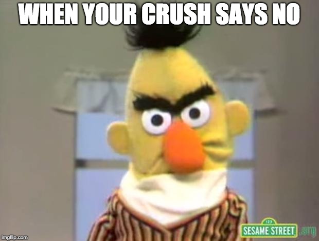Sesame Street - Angry Bert | WHEN YOUR CRUSH SAYS NO | image tagged in sesame street - angry bert | made w/ Imgflip meme maker