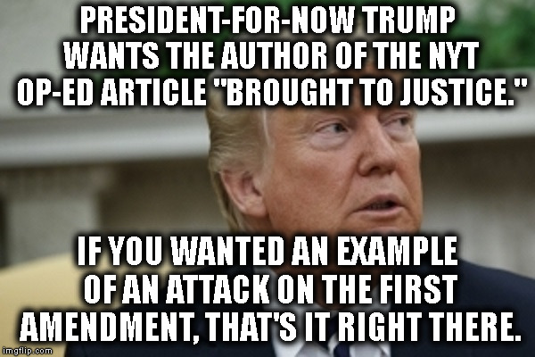 Screw The Constitution! Am I Right? | PRESIDENT-FOR-NOW TRUMP WANTS THE AUTHOR OF THE NYT OP-ED ARTICLE "BROUGHT TO JUSTICE."; IF YOU WANTED AN EXAMPLE OF AN ATTACK ON THE FIRST AMENDMENT, THAT'S IT RIGHT THERE. | image tagged in donald trump,constitution,first amendment,newyork times,jeff sessions,dictator | made w/ Imgflip meme maker