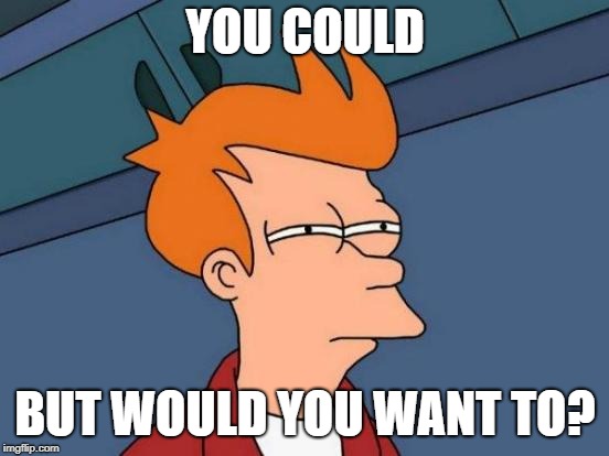 Futurama Fry Meme | YOU COULD BUT WOULD YOU WANT TO? | image tagged in memes,futurama fry | made w/ Imgflip meme maker