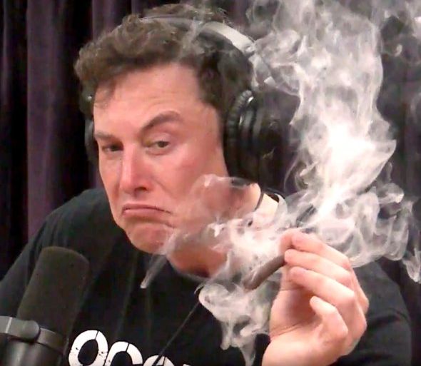 High Quality elon smoking Blank Meme Template