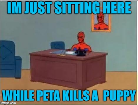Spiderman Computer Desk Meme | IM JUST SITTING HERE; WHILE PETA KILLS A  PUPPY | image tagged in memes,spiderman computer desk,spiderman | made w/ Imgflip meme maker