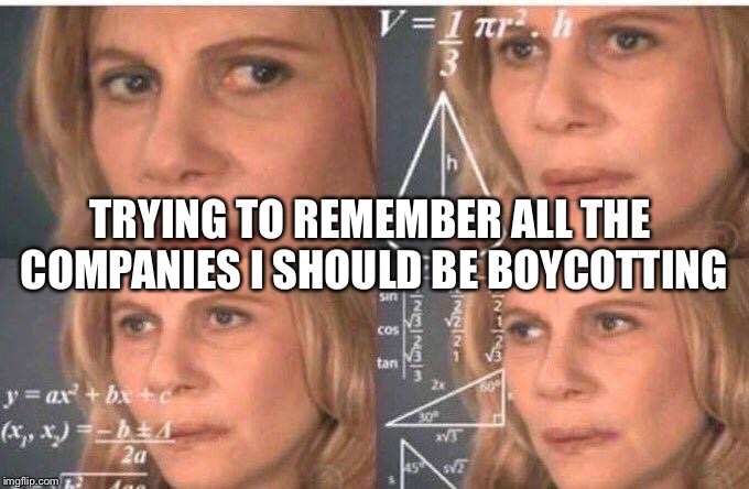 Julia Roberts math | TRYING TO REMEMBER ALL THE COMPANIES I SHOULD BE BOYCOTTING | image tagged in julia roberts math | made w/ Imgflip meme maker