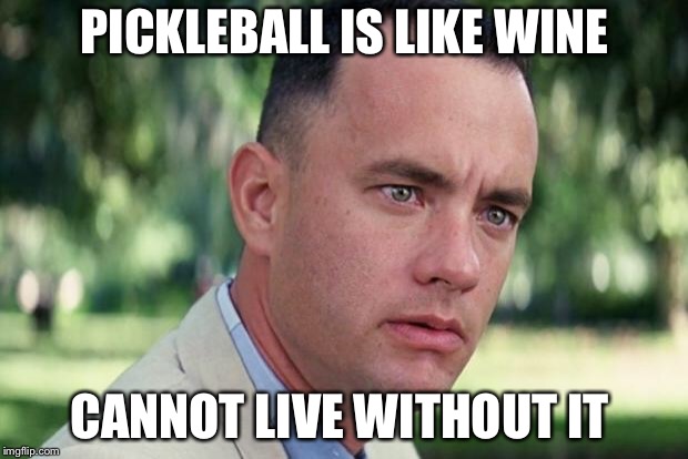 And Just Like That Meme | PICKLEBALL IS LIKE WINE; CANNOT LIVE WITHOUT IT | image tagged in forrest gump | made w/ Imgflip meme maker
