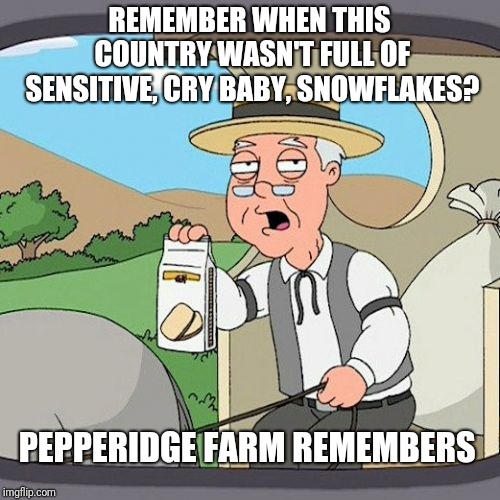 Pepperidge Farm Remembers Meme | REMEMBER WHEN THIS COUNTRY WASN'T FULL OF SENSITIVE, CRY BABY, SNOWFLAKES? PEPPERIDGE FARM REMEMBERS | image tagged in memes,pepperidge farm remembers | made w/ Imgflip meme maker