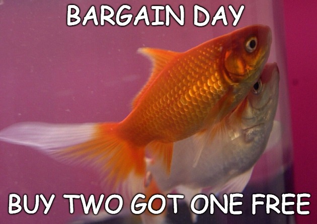 BARGAIN DAY BUY TWO GOT ONE FREE | made w/ Imgflip meme maker