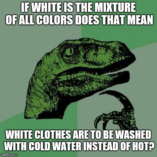 Philosoraptor Meme | IF WHITE IS THE MIXTURE OF ALL COLORS DOES THAT MEAN; WHITE CLOTHES ARE TO BE WASHED WITH COLD WATER INSTEAD OF HOT? | image tagged in memes,philosoraptor | made w/ Imgflip meme maker