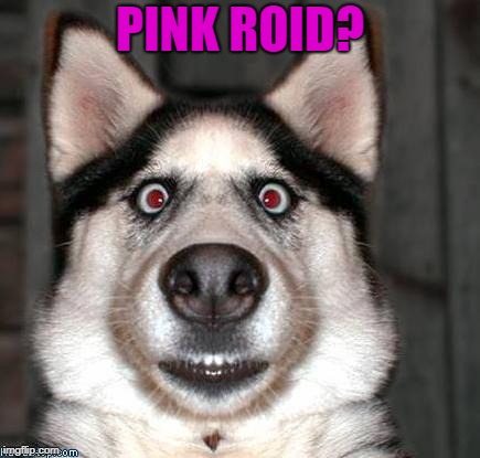 Scared Dog | PINK ROID? | image tagged in scared dog | made w/ Imgflip meme maker