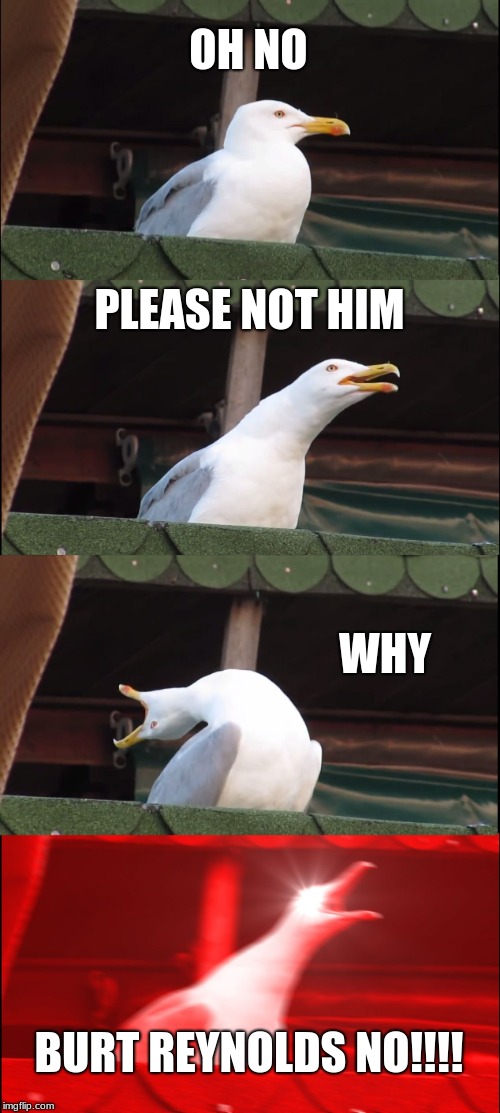 Inhaling Seagull Meme | OH NO; PLEASE NOT HIM; WHY; BURT REYNOLDS NO!!!! | image tagged in memes,inhaling seagull | made w/ Imgflip meme maker