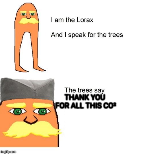 Serbian Lorax | THANK YOU FOR ALL THIS CO² | image tagged in serbian lorax | made w/ Imgflip meme maker