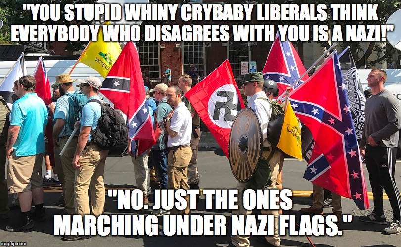 "YOU STUPID WHINY CRYBABY LIBERALS THINK EVERYBODY WHO DISAGREES WITH YOU IS A NAZI!"; "NO. JUST THE ONES MARCHING UNDER NAZI FLAGS." | image tagged in triggered liberal,nazis,maga,liberal logic | made w/ Imgflip meme maker