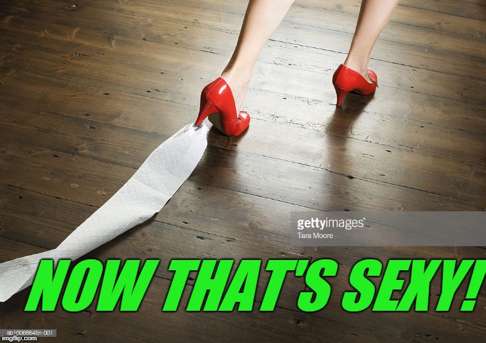 NOW THAT'S SEXY! | image tagged in toilet paper | made w/ Imgflip meme maker