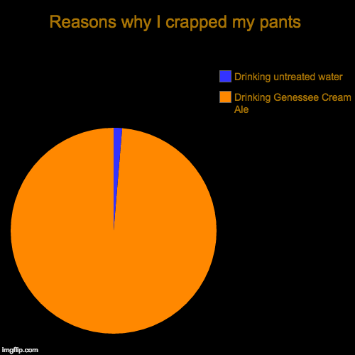 Reasons why I crapped my pants | Drinking Genessee Cream Ale , Drinking untreated water | image tagged in funny,pie charts | made w/ Imgflip chart maker