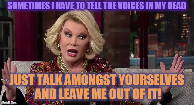 When the voices in your head start fighting and want you to pick a side! | SOMETIMES I HAVE TO TELL THE VOICES IN MY HEAD; JUST TALK AMONGST YOURSELVES AND LEAVE ME OUT OF IT! | image tagged in crazy lady | made w/ Imgflip meme maker