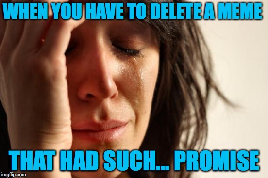 I Suffer For My Memes... | WHEN YOU HAVE TO DELETE A MEME; THAT HAD SUCH... PROMISE | image tagged in memes,first world problems,funny memes,funny meme,professional | made w/ Imgflip meme maker